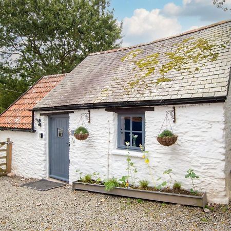 Love Cottage Combe Martin Esterno foto